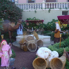 DSC03631