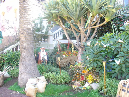 DSC03632