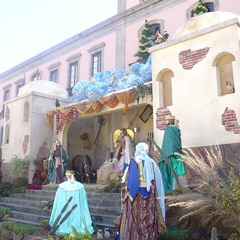DSC03634