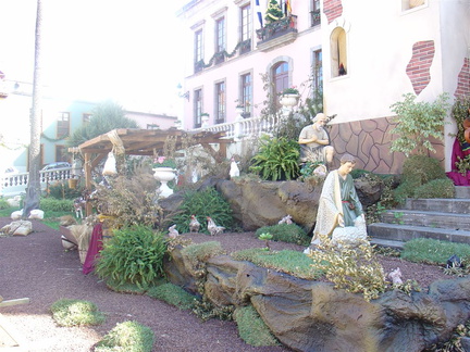 DSC03636