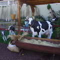 DSC03637
