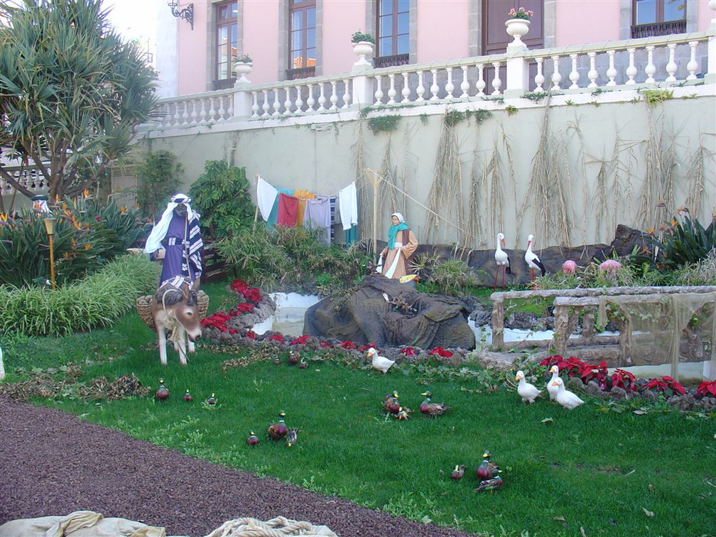DSC03638