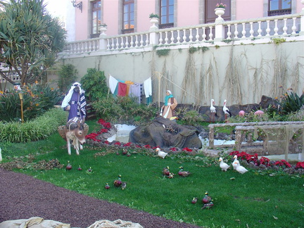 DSC03638