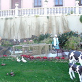 DSC03639