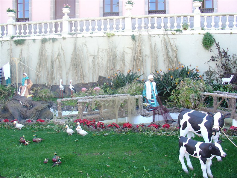 DSC03639