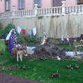 DSC03640
