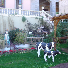 DSC03641