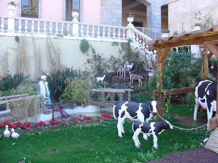 DSC03641