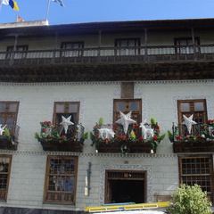 DSC03646