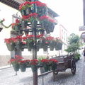 DSC03647