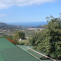 DSC03656
