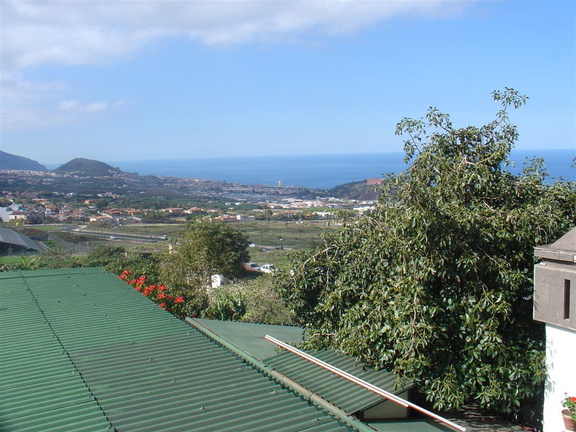 DSC03656