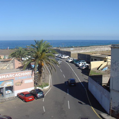 DSC03554