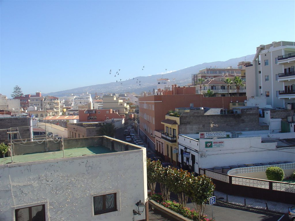 DSC03559