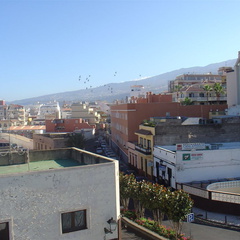 DSC03559