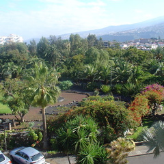 DSC03890