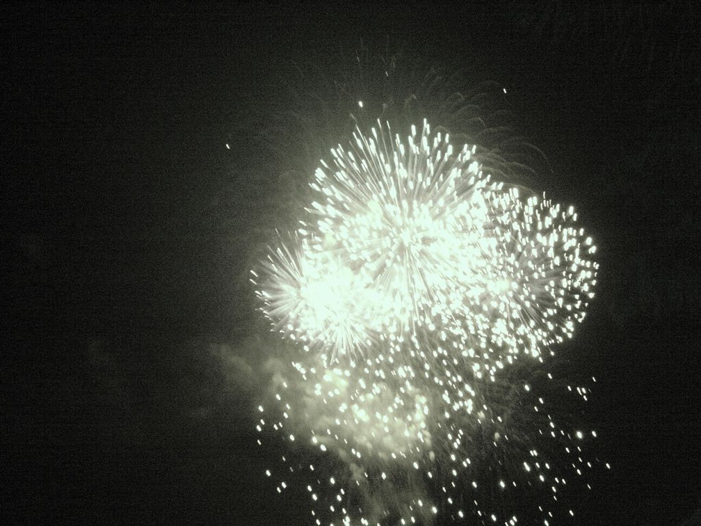 DSC03617