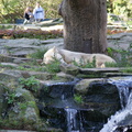 DSC01500
