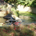 DSC01506