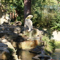 DSC01507