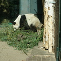 DSC01524