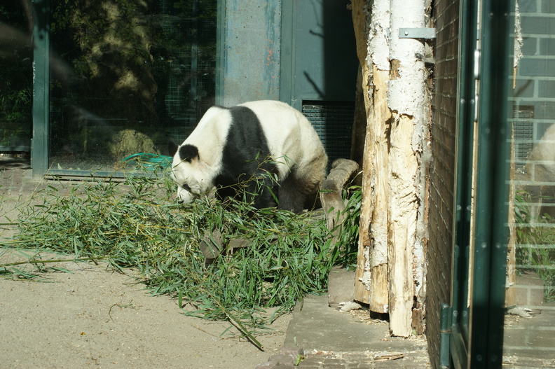 DSC01525.jpg