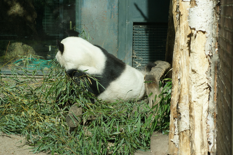 DSC01526.jpg