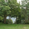 DSC01160