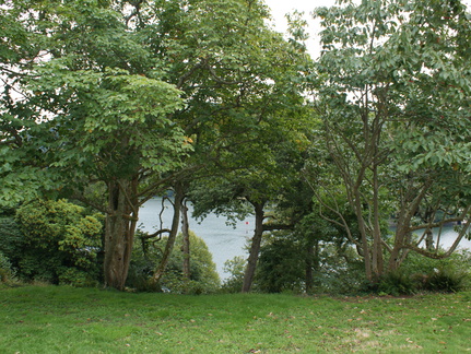DSC01160