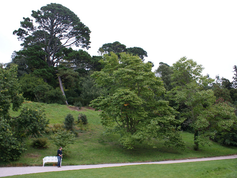 DSC01162