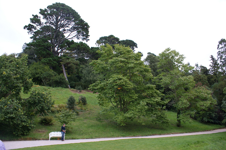 DSC01162.jpg