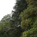 DSC01173