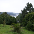 DSC01176