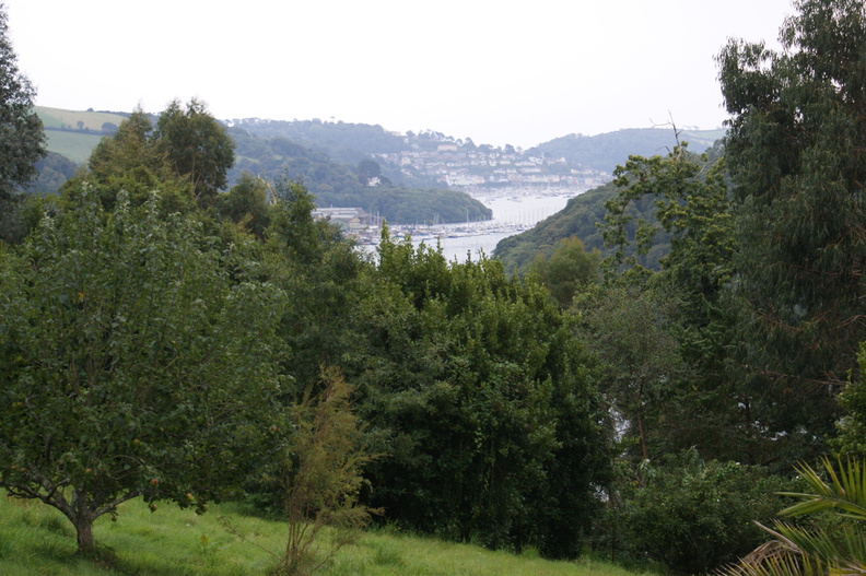DSC01178.jpg