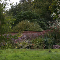 DSC01181