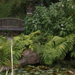 DSC01182
