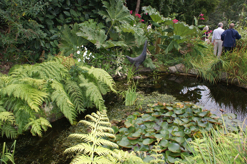 DSC01184.jpg