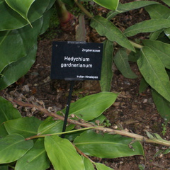 DSC01203
