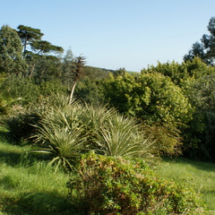DSC01315