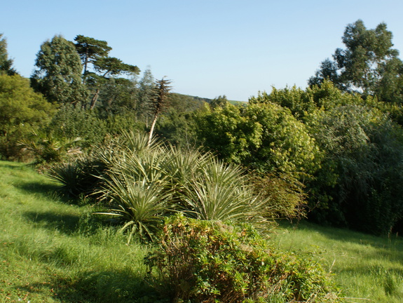 DSC01315