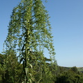 DSC01316