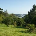 DSC01317