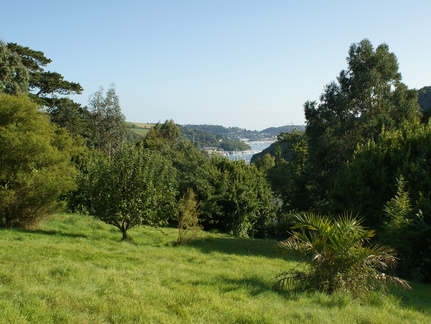 DSC01317