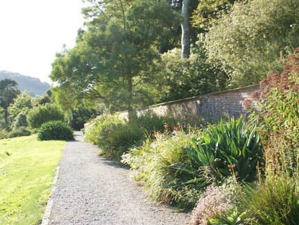 DSC01319