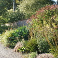 DSC01320
