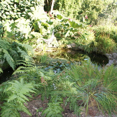 DSC01324
