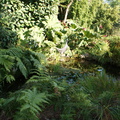 DSC01325