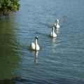DSC01335