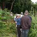 DSC01185