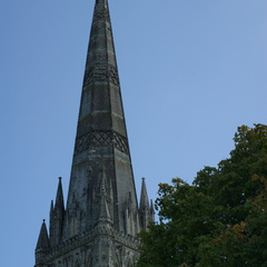 DSC01135